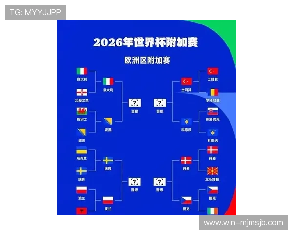 2026年世界杯举办国家排序的变化背后隐藏的政治与经济因素分析