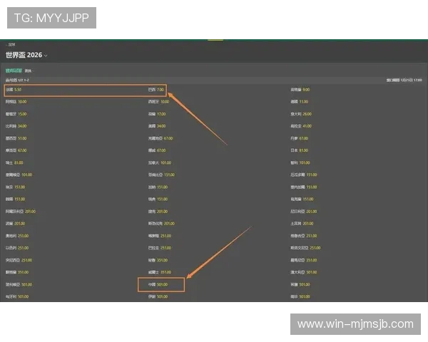 2026年世界杯官网网址官方入口导航及访问流程详细说明