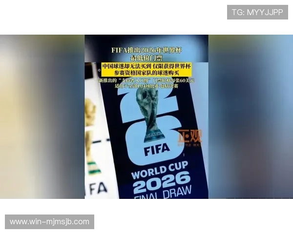 2026年世界杯申办国家成功的关键因素与评估标准