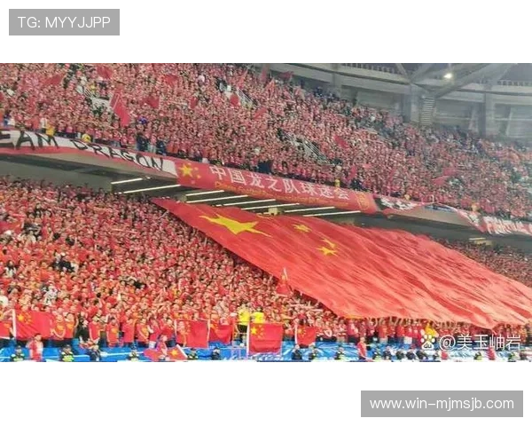 世界杯预选赛亚洲区小组赛精彩瞬间集锦及赛后专家点评与战术分析