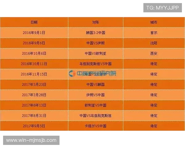 伊朗与埃及世界杯赛程时间表及比赛现场高清图片全景展示